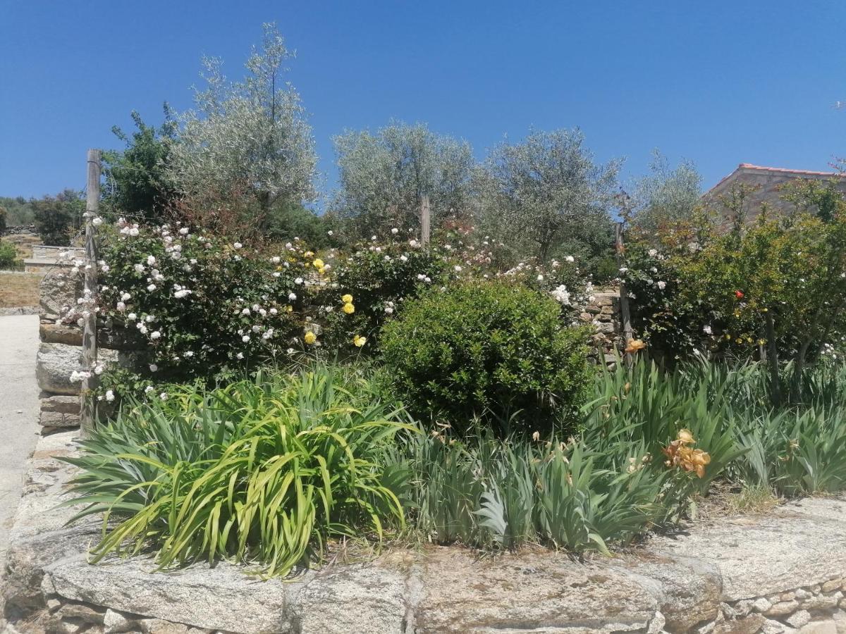 Rosas Da Granja - Casa De Campo Exteriör bild