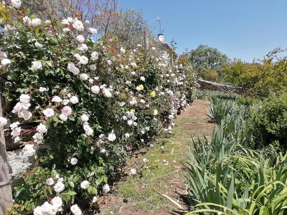 Rosas Da Granja - Casa De Campo Exteriör bild